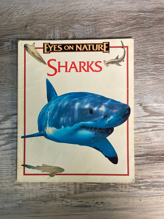 Eyes on Nature, Sharks