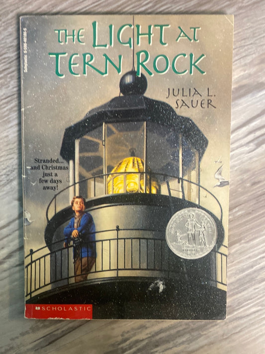 The Light at Tern Rock by Julie L. Sauer