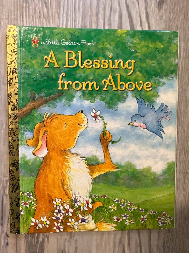 Golden Book: A Blessing From Above