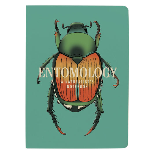 Entomology, A Naturalist's Notebook