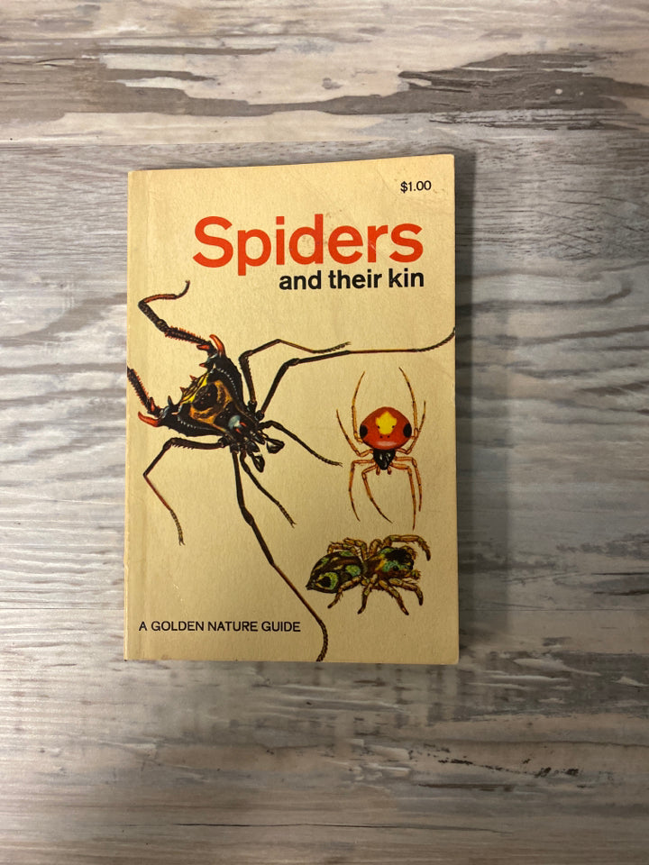 Spider and Their Kin, A Golden Nature Guide