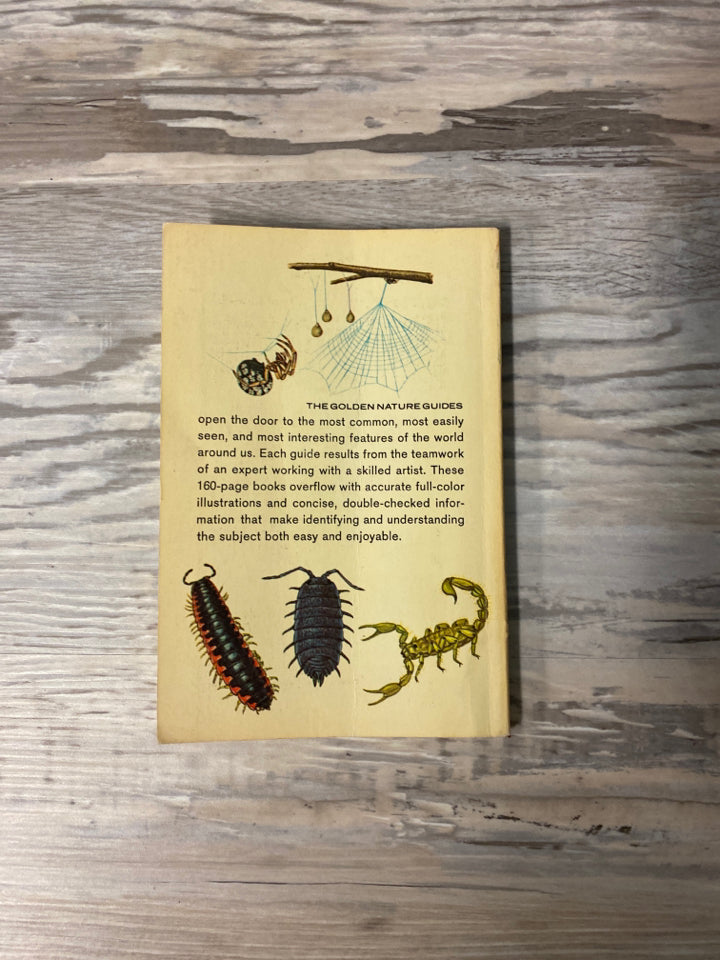 Spider and Their Kin, A Golden Nature Guide