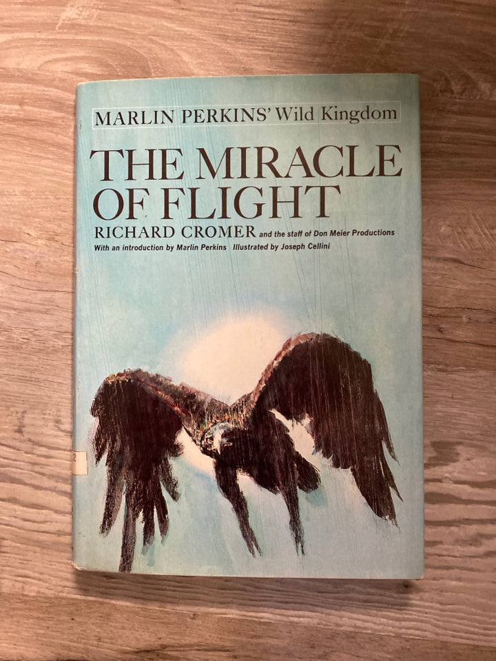 The Miracle of Flight by Richard Cromer