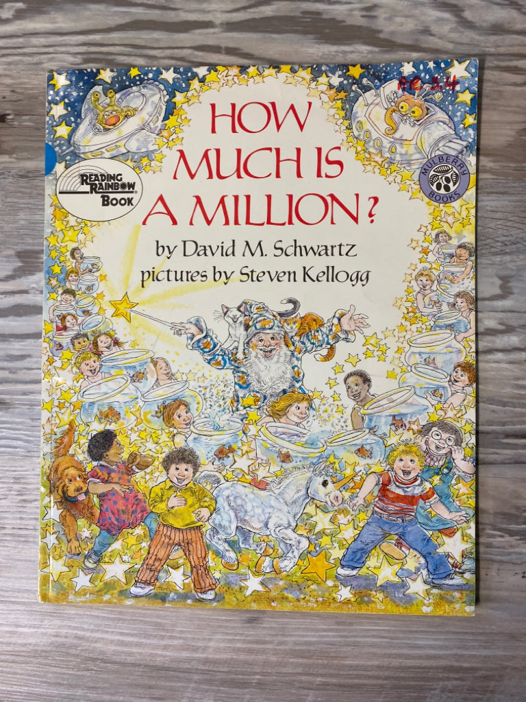How Much is a Million? by David M. Schwartz
