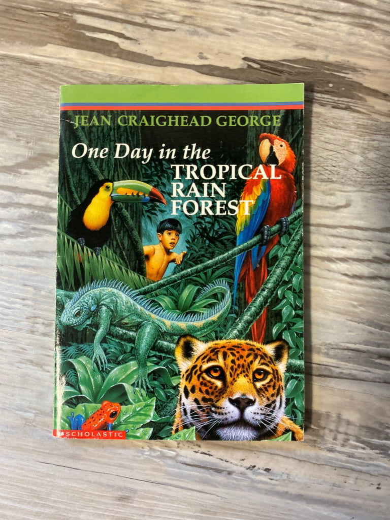 One Day in the Tropical Rain Forest by Jean Craighead George