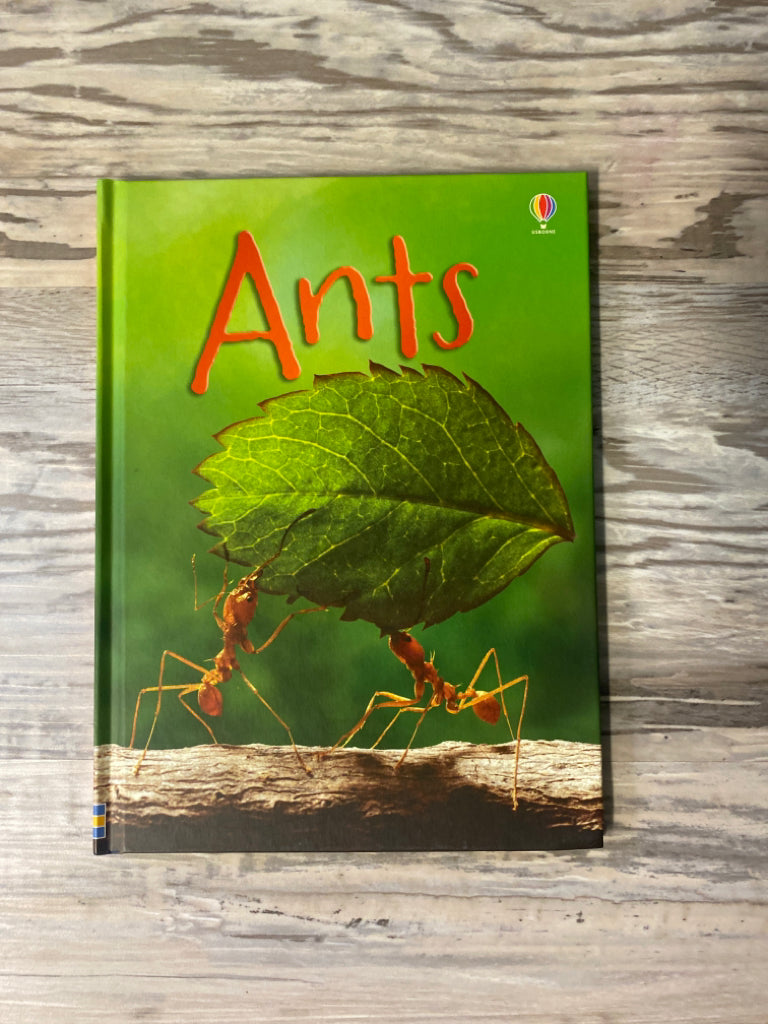 Usborne Beginners Ants
