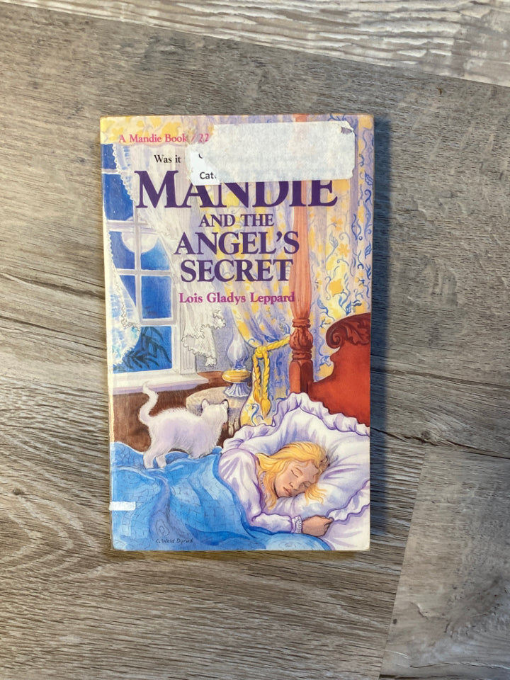 Mandie and The Angel's Secret