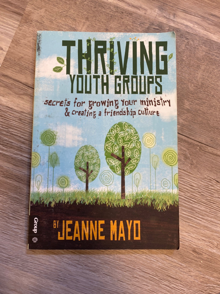 Thriving Youth Groups by Jeanne Mayo