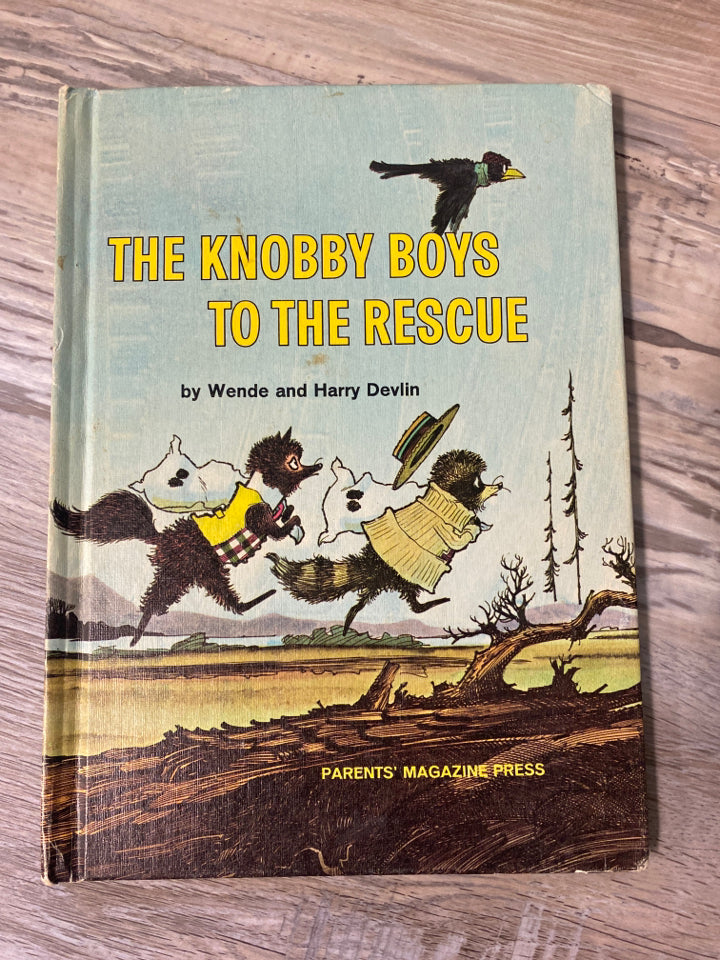 The Knobby Boys to the Rescue by Wende and Harry Delvin