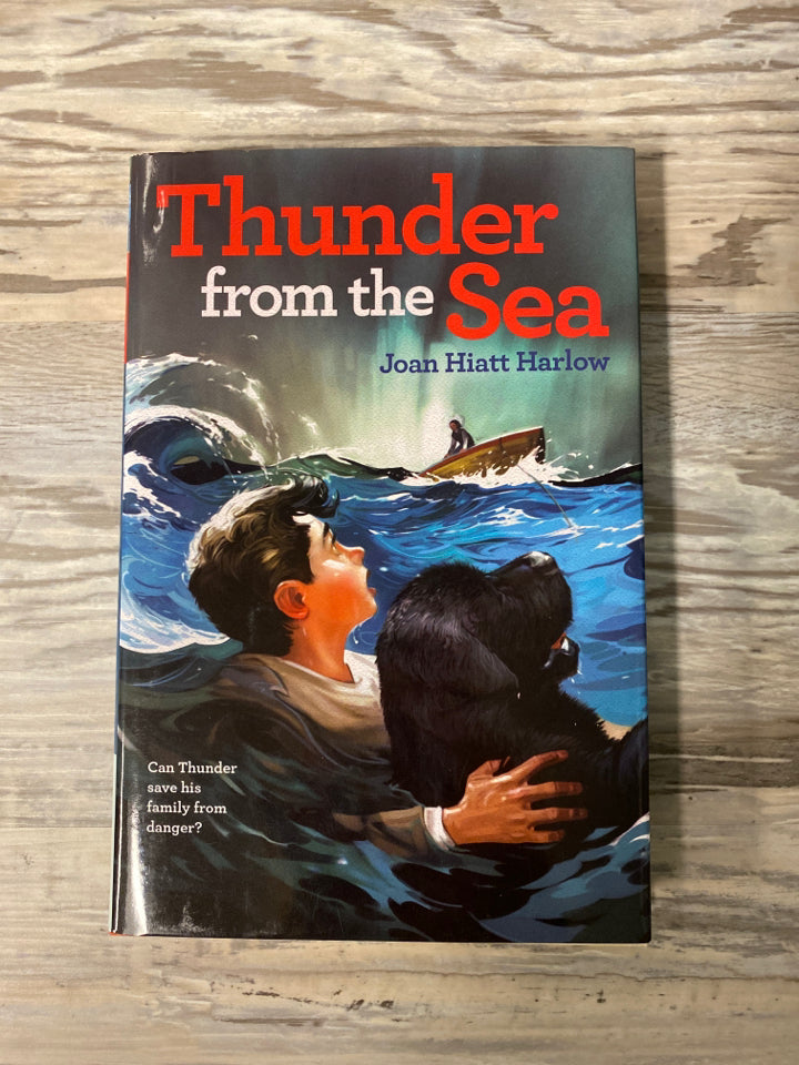 Thunder from the Sea by Joan Hiatt Harlow